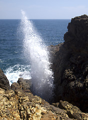 Image showing Blow hole in Hummanaya, Sri Lanka