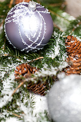 Image showing Silver Christmas bauble on a tree with snow