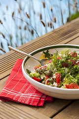 Image showing Bowl of Marinated Greek Salad with Red Napkin