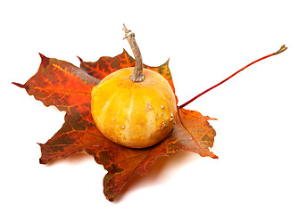 Image showing Decorative pumpkin on red autumn maple-leaf