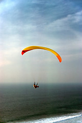 Image showing Glider