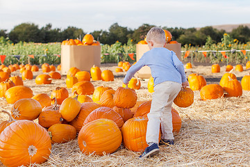 Image showing kid at pumpkin patch
