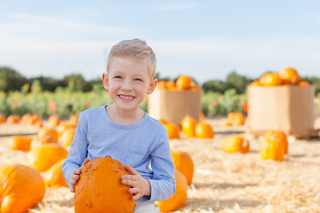 Image showing kid at pumpkin patch