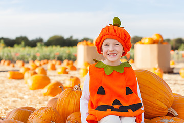 Image showing kid at pumpkin patch