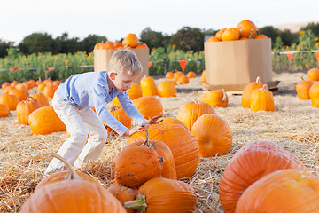 Image showing kid at pumpkin patch