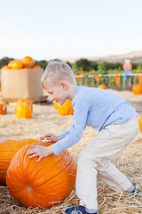 Image showing kid at pumpkin patch