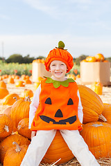 Image showing kid at pumpkin patch