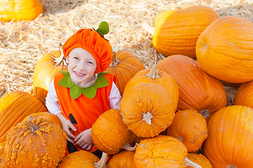 Image showing kid at pumpkin patch