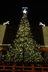 Image showing christmas tree in Ostrava 