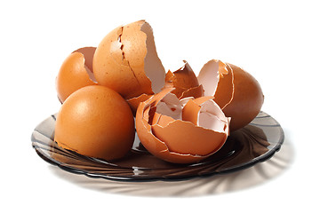 Image showing Dish with egg shells