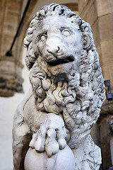 Image showing Lion sculpture Florence