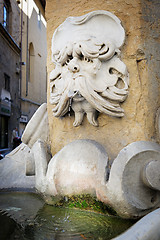 Image showing Fountain of Buontalenti