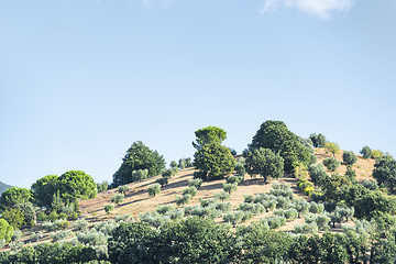 Image showing Beautiful landscape Tuscany