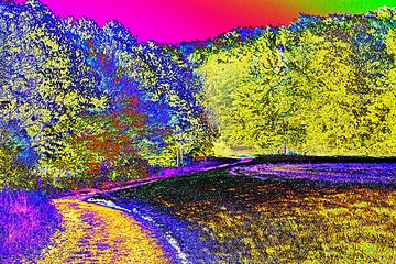 Image showing autumnal forest with manipulated colors