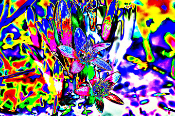 Image showing Chiltern gentian, with manipulated colors