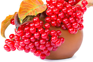 Image showing Berries of viburnum and yellow leaves in a ceramic vase on a whi