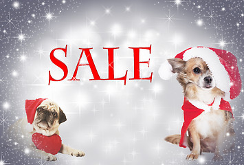 Image showing pug santa claus cap heart