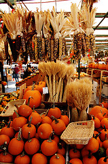 Image showing Corn and pumpkins on market.