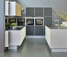 Image showing Modern Kitchen
