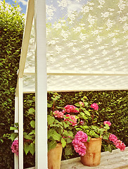 Image showing Summer veranda with blooming gardenias