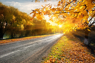 Image showing Highway and autumn