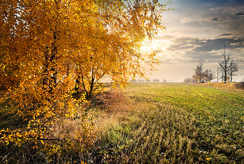 Image showing Autumn in the field