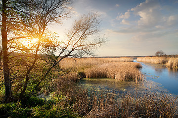 Image showing Autumn and river