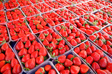 Image showing Strawberry display