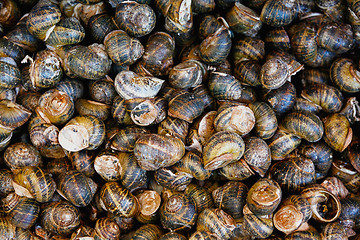 Image showing Escargot display