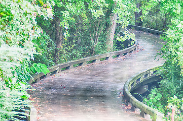 Image showing A wooden golf cart pathway bridge curves around trees