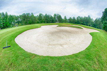 Image showing green grass of the golf course surrounded by autumnal forest