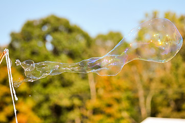 Image showing blowing bubble balloons on a field