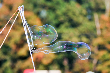 Image showing blowing bubble balloons on a field