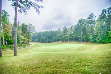 Image showing luxurious golf course on a cloudy day