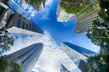 Image showing Financial skyscraper buildings in Charlotte North Carolina USA