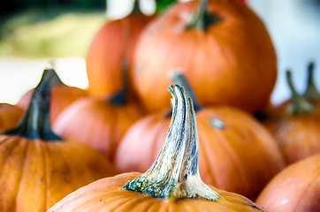 Image showing Pumpkins in the wooden box preparing for sale