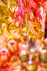 Image showing autumn harvest with pumpkins on table