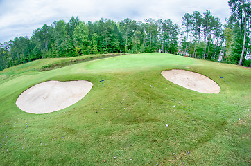 Image showing green grass of the golf course surrounded by autumnal forest