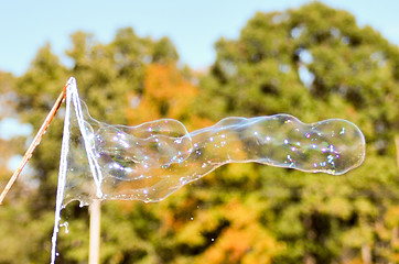 Image showing blowing bubble balloons on a field