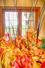 Image showing autumn harvest with pumpkins on table