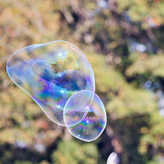 Image showing blowing bubble balloons on a field