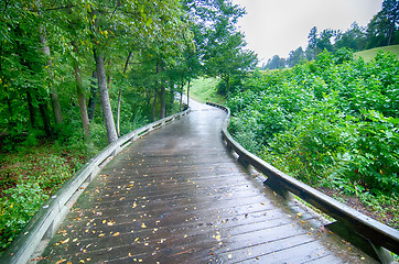 Image showing A wooden golf cart pathway bridge curves around trees