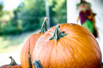 Image showing Pumpkins in the wooden box preparing for sale