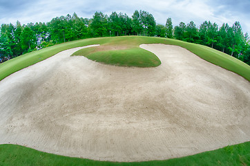 Image showing green grass of the golf course surrounded by autumnal forest