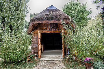 Image showing Marsh Plants Huts 