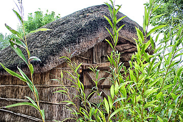 Image showing Marsh Plants Huts 