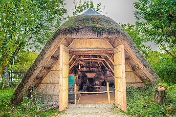 Image showing Marsh Plants Huts 