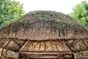 Image showing Marsh Plants Huts 