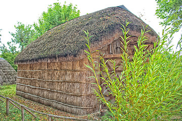 Image showing Marsh Plants Huts 