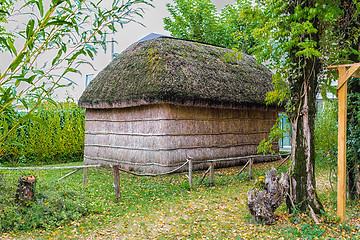 Image showing Marsh Plants Huts 